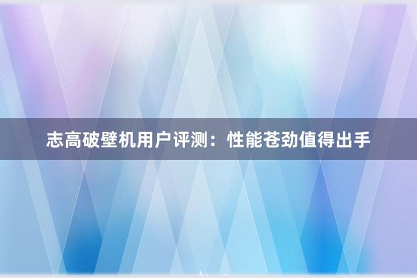 志高破壁机用户评测：性能苍劲值得出手